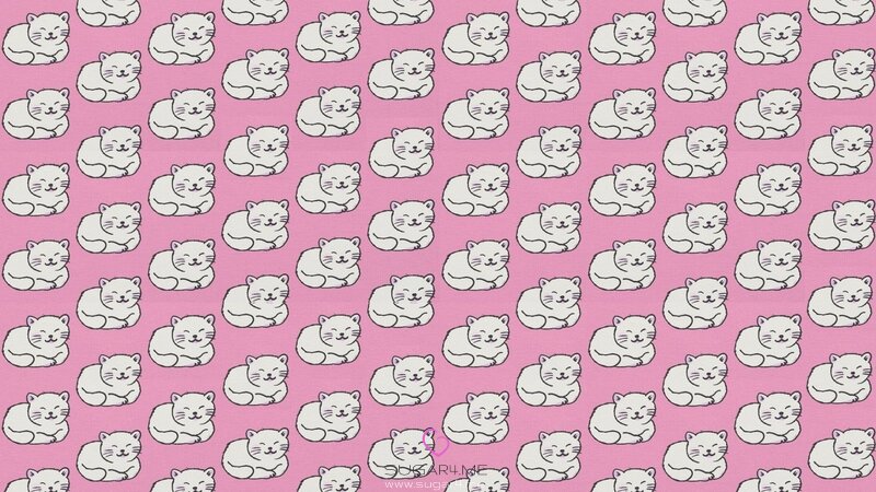 bunnybabyyy Picture